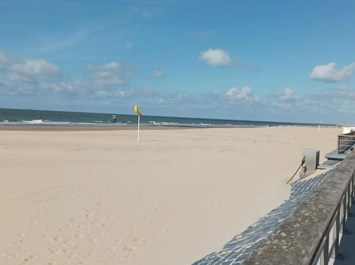 Frontaal Zeezicht In Appartement De Strandjutter Ostende