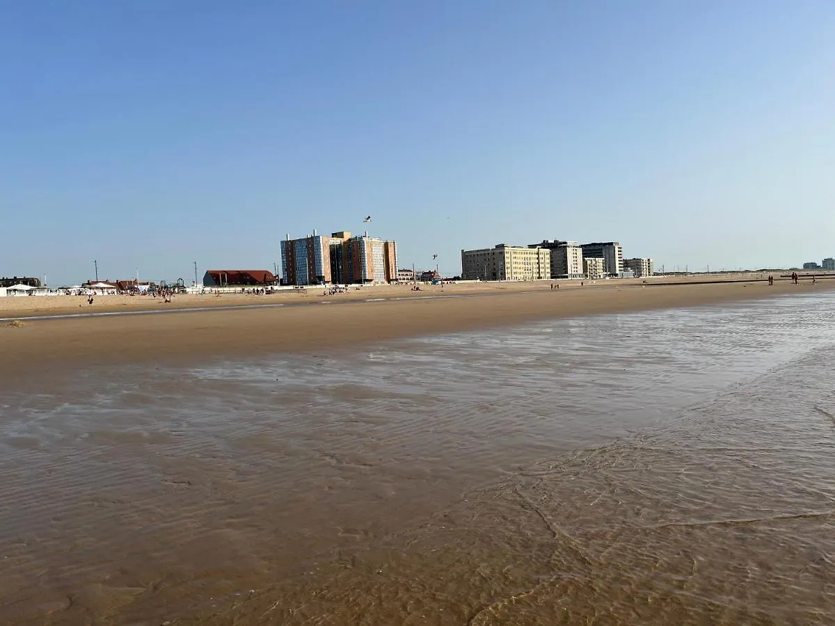 Frontaal Zeezicht In Appartement De Strandjutter Ostende 0*,  Belgien