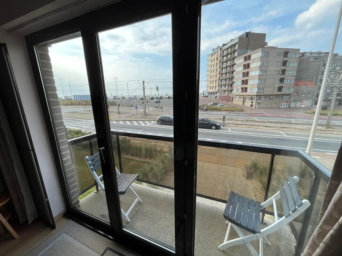 Frontaal Zeezicht In Appartement De Strandjutter Ostende Belgien